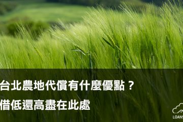 台北農地代償有什麼優點？借低還高盡在此處【貸款就找我】